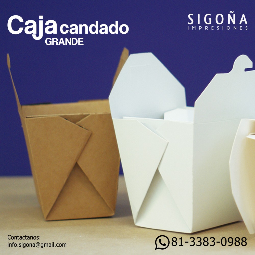 CAJA CANDADO GRANDE