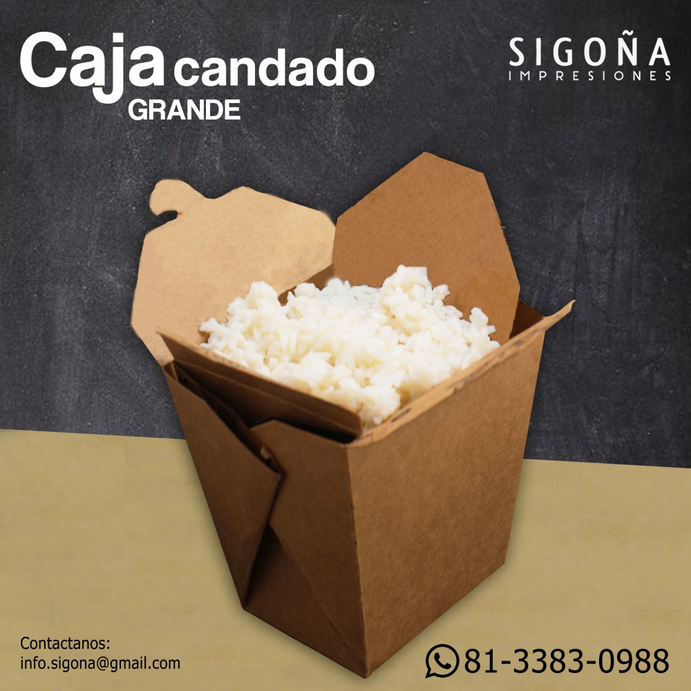 CAJA CANDADO GRANDE