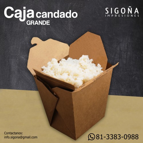 CAJA CANDADO GRANDE