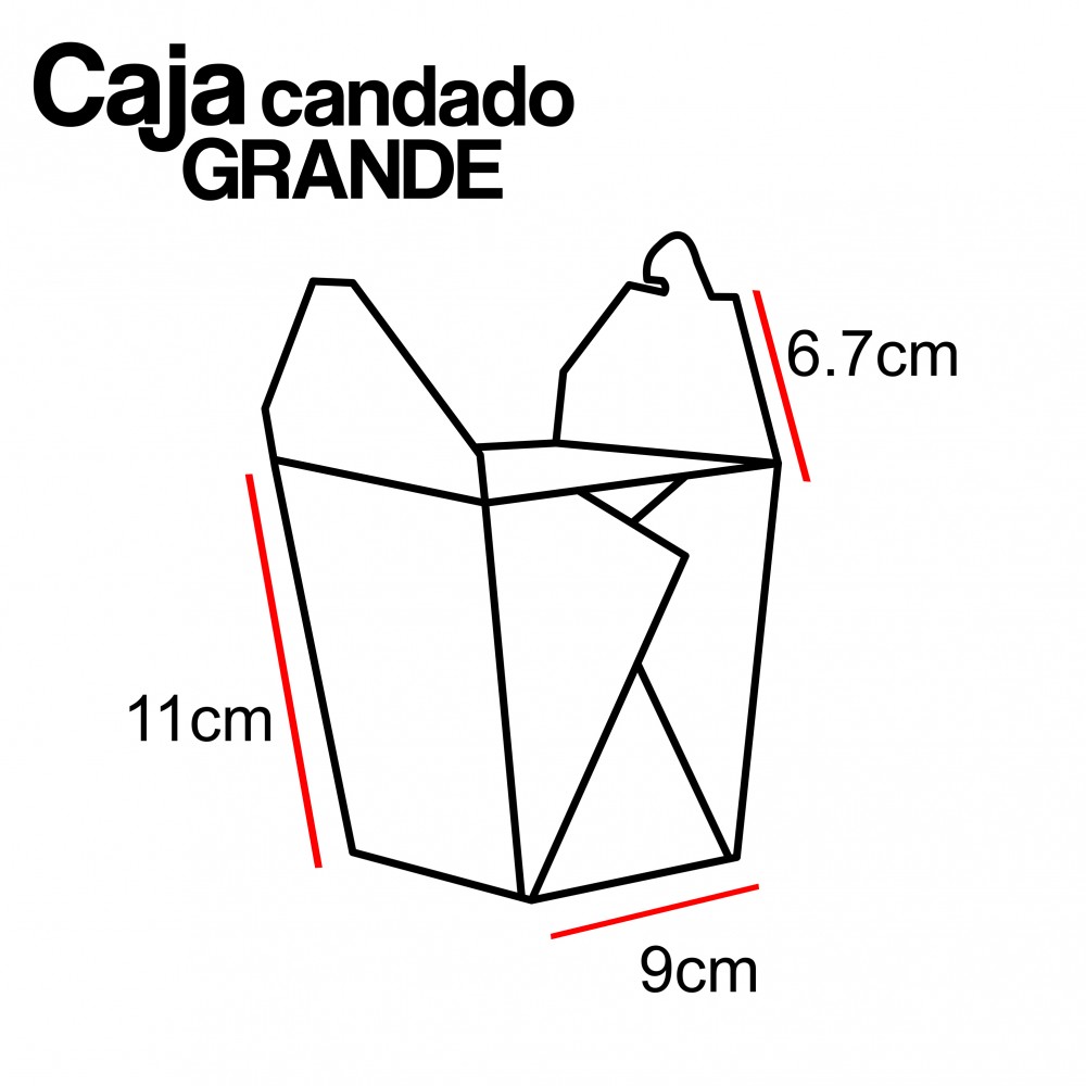CAJA CANDADO GRANDE