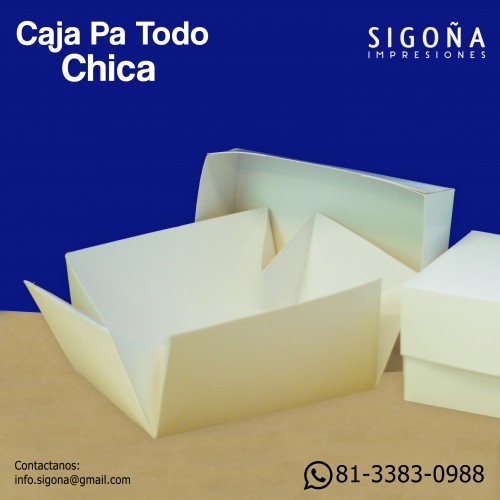 CAJA PA TODO CHICA