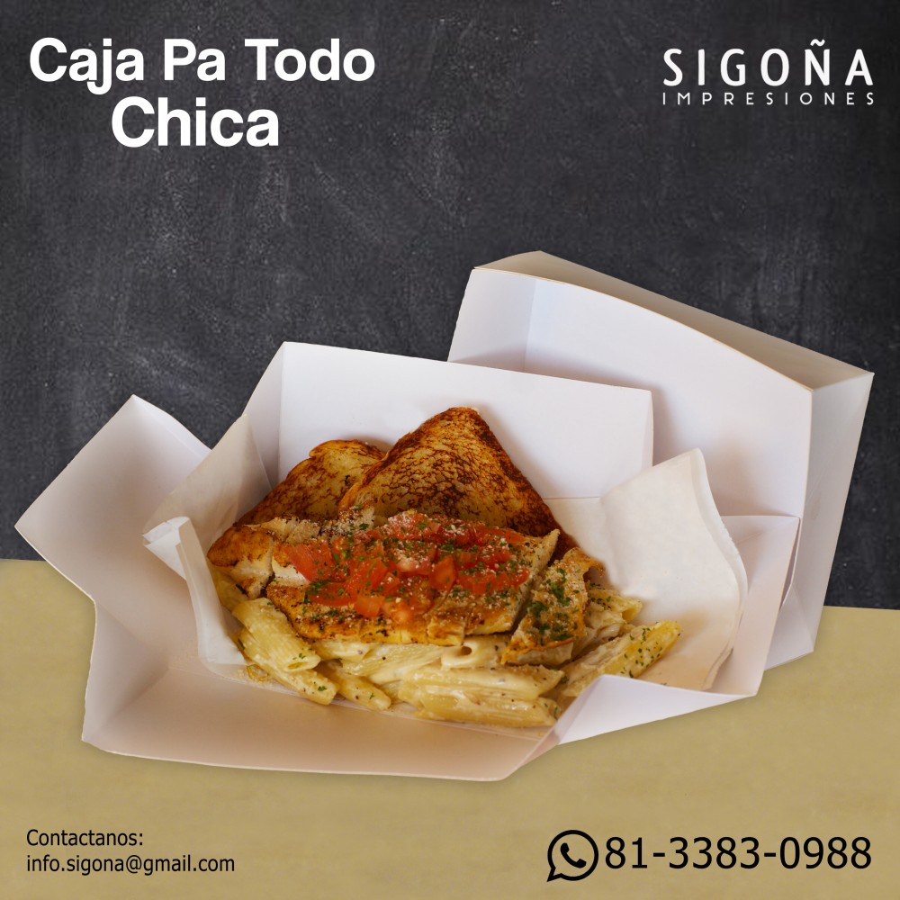 CAJA PA TODO CHICA