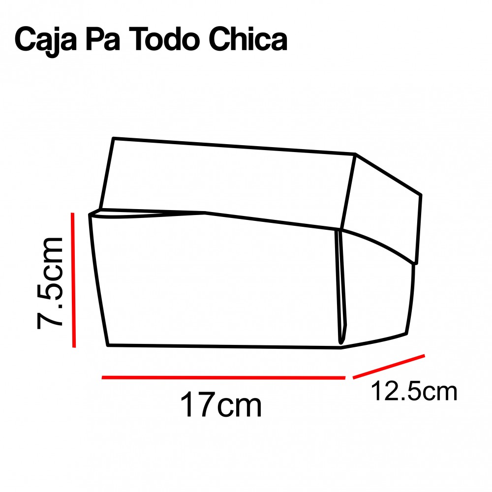 CAJA PA TODO CHICA
