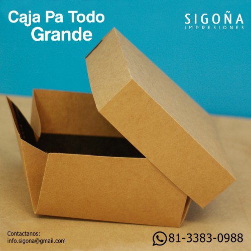 CAJA PA TODO GRANDE