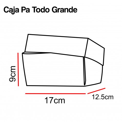 CAJA PA TODO GRANDE