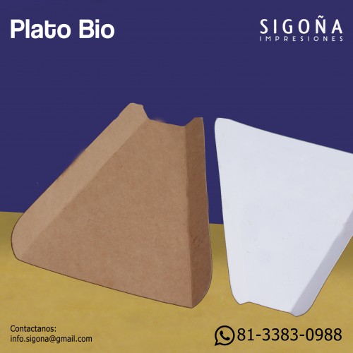 PLATO BIO 