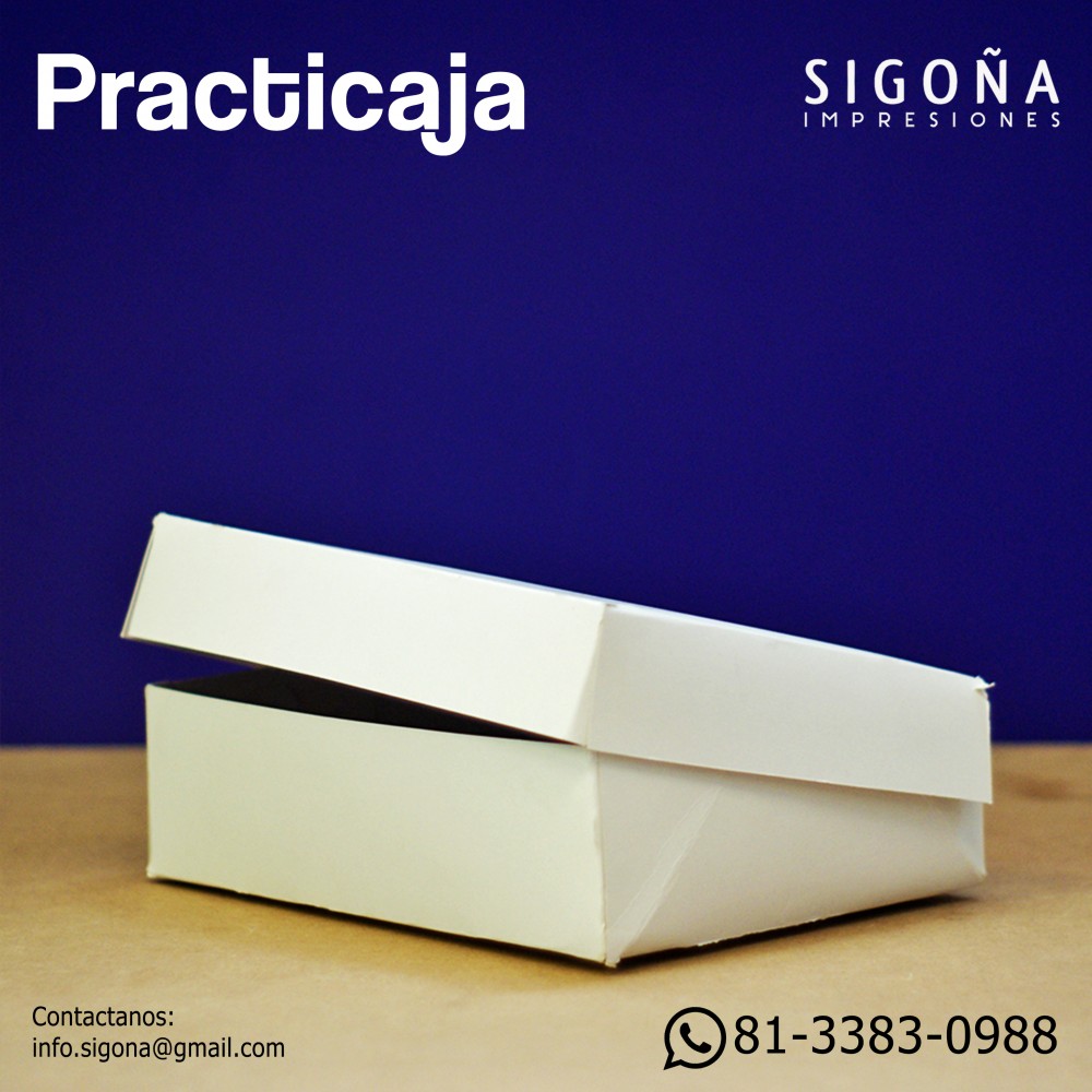 PRACTICAJA