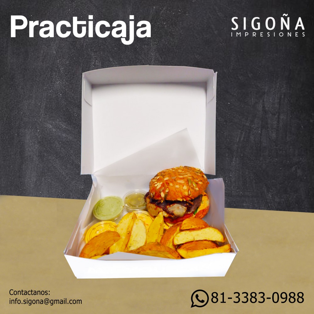 PRACTICAJA